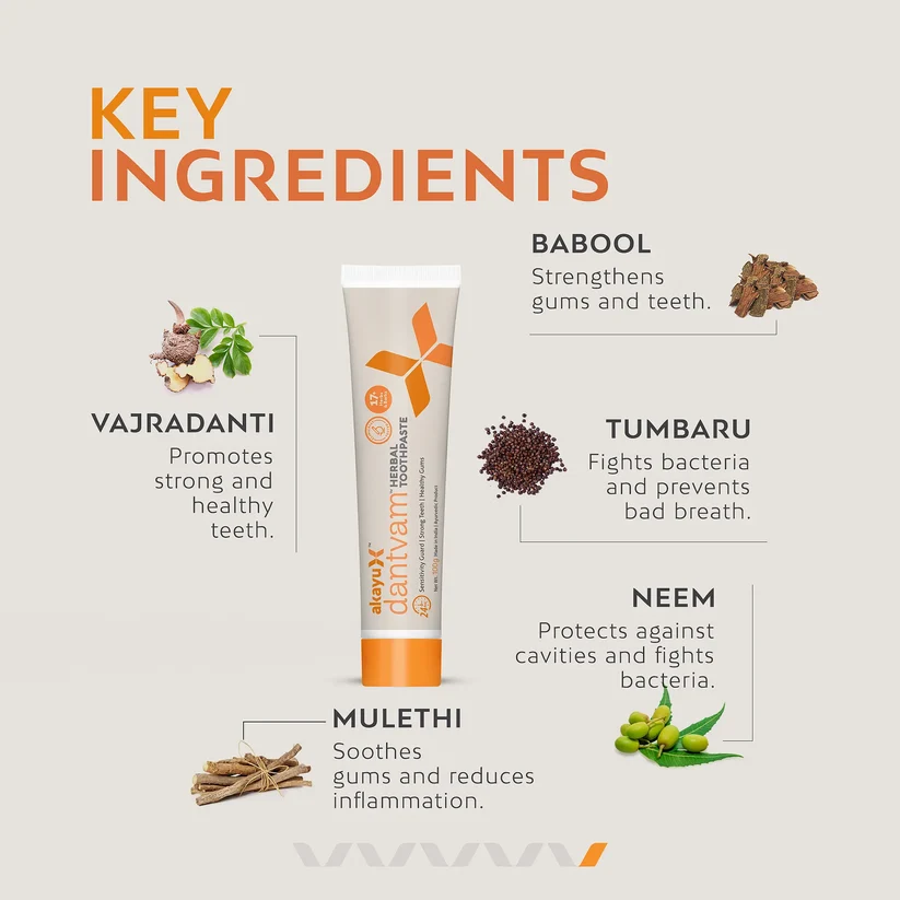 Dantvam Herbal Toothpaste - Image 3