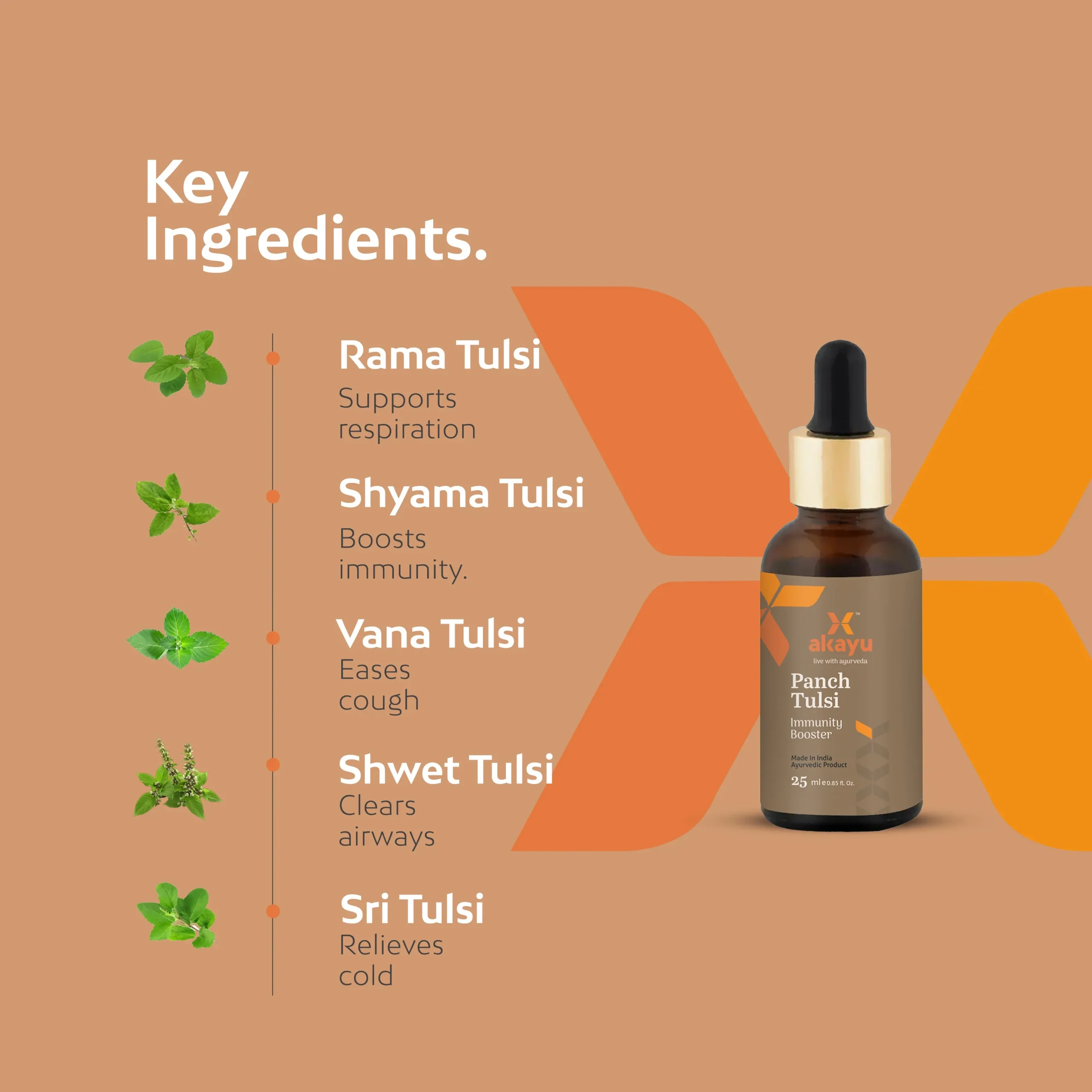 Panch Tulsi Oil - Image 4